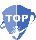 Jasa Anti Rayap TOP Sidoarjo